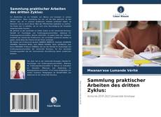 Capa do livro de Sammlung praktischer Arbeiten des dritten Zyklus: 