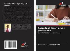 Raccolta di lavori pratici post-laurea:的封面
