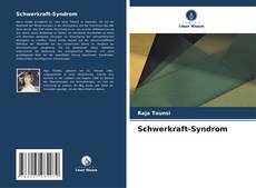 Capa do livro de Schwerkraft-Syndrom 