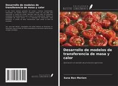 Desarrollo de modelos de transferencia de masa y calor的封面