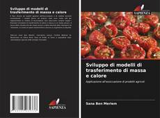 Sviluppo di modelli di trasferimento di massa e calore kitap kapağı