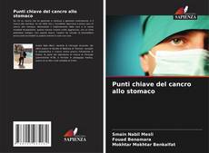 Punti chiave del cancro allo stomaco的封面