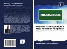 Община Сант-Эджидио и мозамбикский конфликт的封面