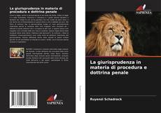 La giurisprudenza in materia di procedura e dottrina penale的封面