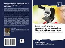 Иммунный ответ у личинок жука-скарабея Phyllognathus excavatus kitap kapağı