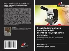 Risposta immunitaria nella larva dello scarabeo Phyllognathus excavatus的封面