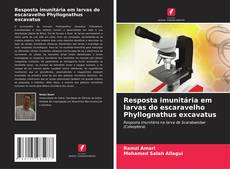 Buchcover von Resposta imunitária em larvas do escaravelho Phyllognathus excavatus