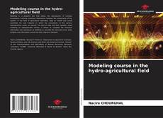 Modeling course in the hydro-agricultural field的封面