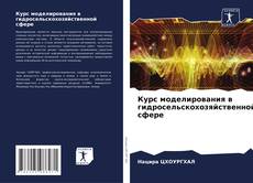 Курс моделирования в гидросельскохозяйственной сфере kitap kapağı