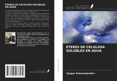 ÉTERES DE CELULOSA SOLUBLES EN AGUA的封面