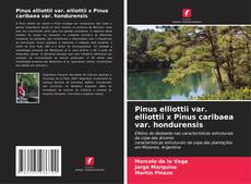 Portada del libro de Pinus elliottii var. elliottii x Pinus caribaea var. hondurensis