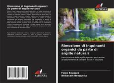 Rimozione di inquinanti organici da parte di argille naturali的封面
