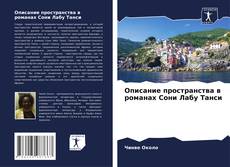 Описание пространства в романах Сони Лабу Танси kitap kapağı