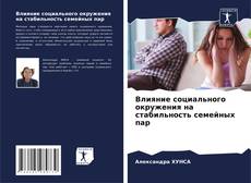 Couverture de Влияние социального окружения на стабильность семейных пар