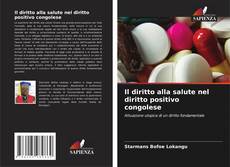 Il diritto alla salute nel diritto positivo congolese的封面