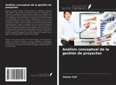 Análisis conceptual de la gestión de proyectos的封面