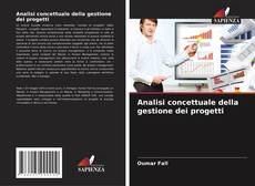Analisi concettuale della gestione dei progetti kitap kapağı