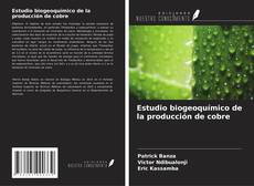 Обложка Estudio biogeoquímico de la producción de cobre