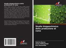 Couverture de Studio biogeochimico della produzione di rame