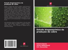 Buchcover von Estudo biogeoquímico da produção de cobre