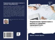 Управление проектами в малых и средних предприятиях: kitap kapağı