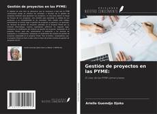 Gestión de proyectos en las PYME:的封面