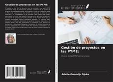 Buchcover von Gestión de proyectos en las PYME: