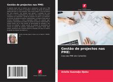 Couverture de Gestão de projectos nas PME: