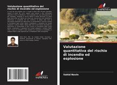 Valutazione quantitativa del rischio di incendio ed esplosione的封面