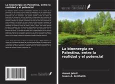 La bioenergía en Palestina, entre la realidad y el potencial的封面