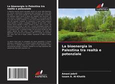 La bioenergia in Palestina tra realtà e potenziale kitap kapağı