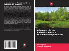 Copertina di A bioenergia na Palestina entre a realidade e o potencial