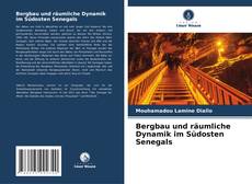 Bergbau und räumliche Dynamik im Südosten Senegals kitap kapağı