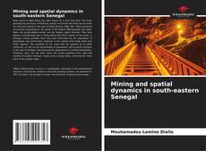 Mining and spatial dynamics in south-eastern Senegal kitap kapağı