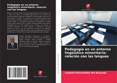 Copertina di Pedagogía en un entorno lingüístico minoritario: relación con las lenguas