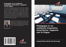 Pedagogia in un ambiente linguistico minoritario: rapporto con le lingue的封面