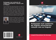 Copertina di Pedagogia num ambiente de línguas minoritárias: relação com as línguas