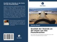 Qualität der Strände an der Küste von São Paulo/Brasilien kitap kapağı