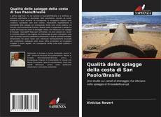 Couverture de Qualità delle spiagge della costa di San Paolo/Brasile