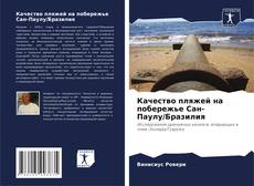 Portada del libro de Качество пляжей на побережье Сан-Паулу/Бразилия