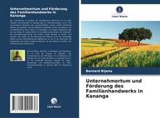 Unternehmertum und Förderung des Familienhandwerks in Kananga kitap kapağı