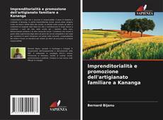 Imprenditorialità e promozione dell'artigianato familiare a Kananga的封面