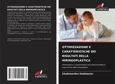 OTTIMIZZAZIONE E CARATTERISTICHE DEI RISULTATI DELLA MIRINGOPLASTICA的封面