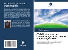 CO2-Fluss unter der Cerrado-Vegetation und in Ackerbaugebieten kitap kapağı