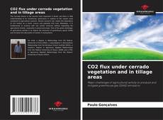 Bookcover of CO2 flux under cerrado vegetation and in tillage areas