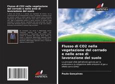 Flusso di CO2 nella vegetazione del cerrado e nelle aree di lavorazione del suolo的封面