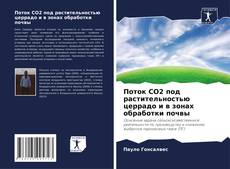 Capa do livro de Поток CO2 под растительностью церрадо и в зонах обработки почвы 