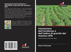 Copertina di Valutazione dell'incidenza e dell'indice di gravità del mosaico AFR