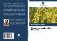 Mesomorphes Zeolith-Material kitap kapağı