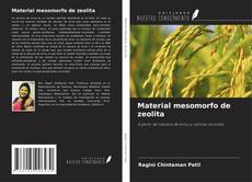 Bookcover of Material mesomorfo de zeolita